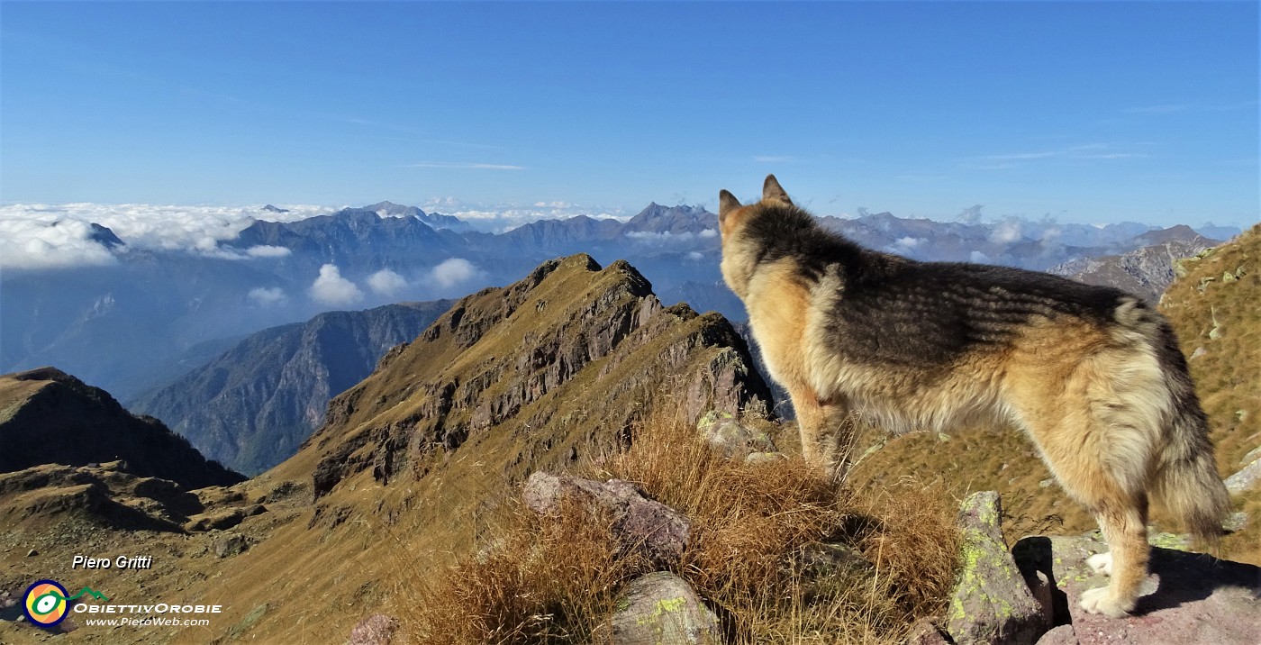 48 Dori sulla cima del Pietra Quadra...osserva il grandioso panorama a est.JPG -                                